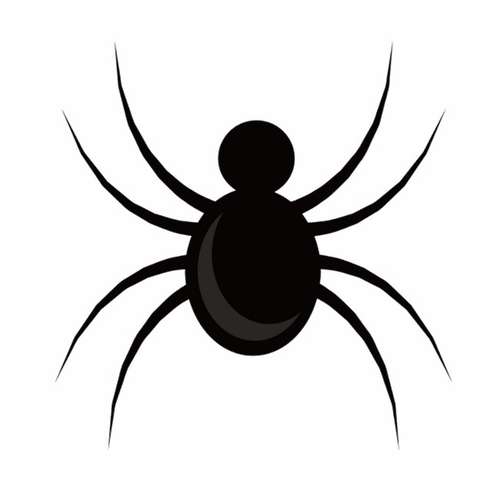 Spider_png